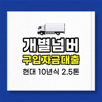 개별넘버대출