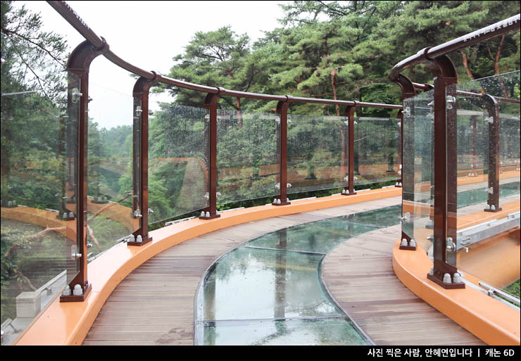 제천 의림지 숙박시설 충북 제천 가볼만한곳 29