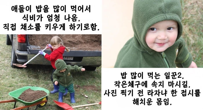  애들 식비를 감당하려 텃밭을 가꿨더니 발생한 효과