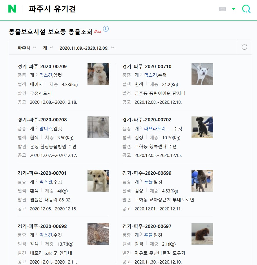  반려동물 실종