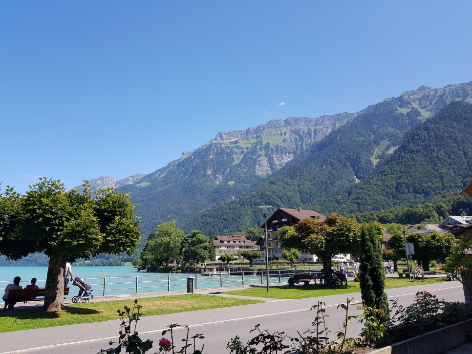 사랑의 불시착 촬영지스위스 [2019. 09] 추억의