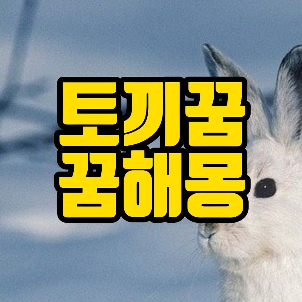  [꿈해몽] 토끼꿈, 산토끼꿈, 흰토끼꿈 관련 꿈풀이 30선