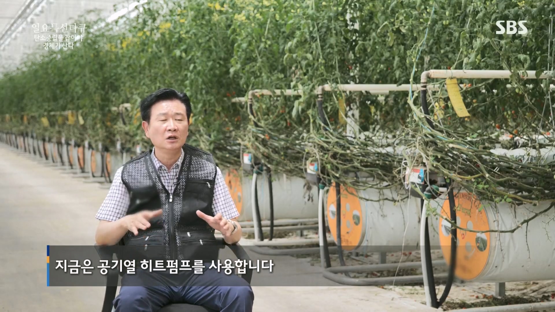 일요 특선 다큐멘터리.E320.230917p.H264-F1RST.mp4_20230925_201932.608.jpg
