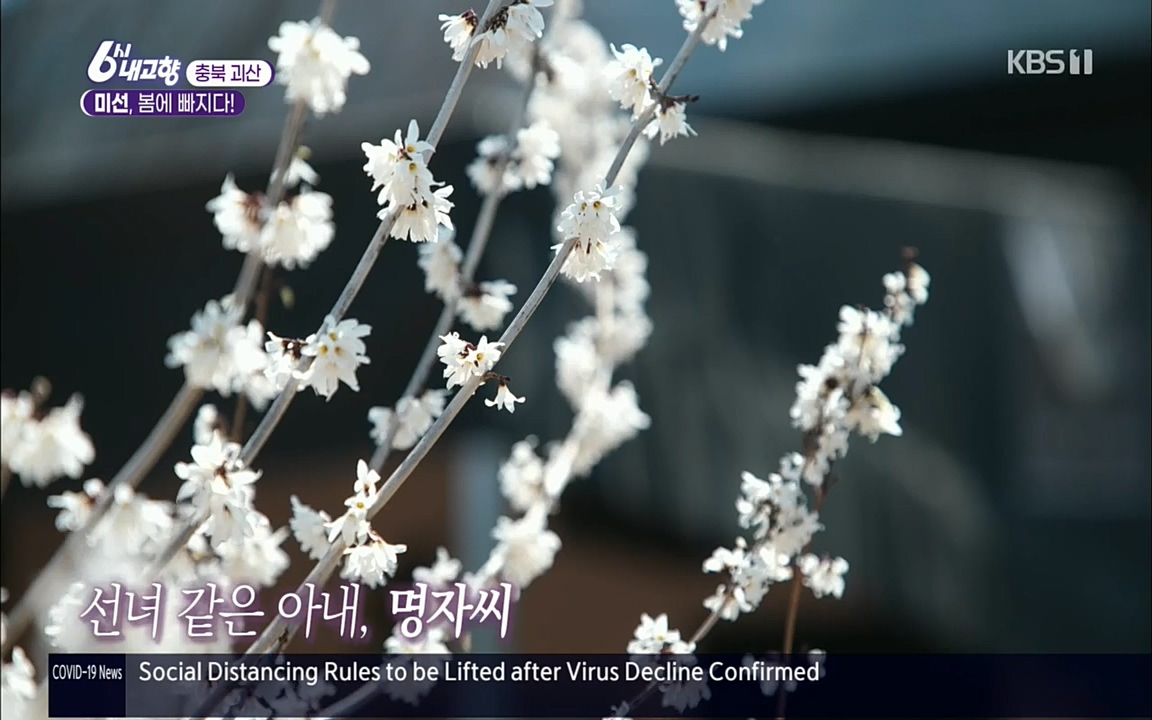 6시 내고향.E7509.220413p.H264-F1RST.mp4_20220418_192025.385.jpg