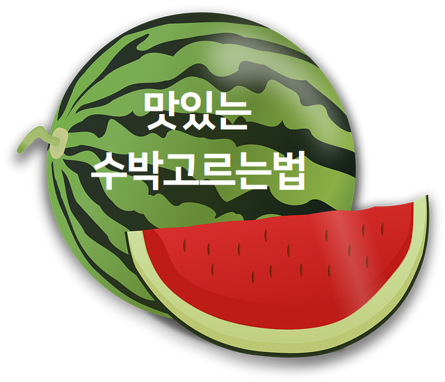  맛있는 수박 고르는 법