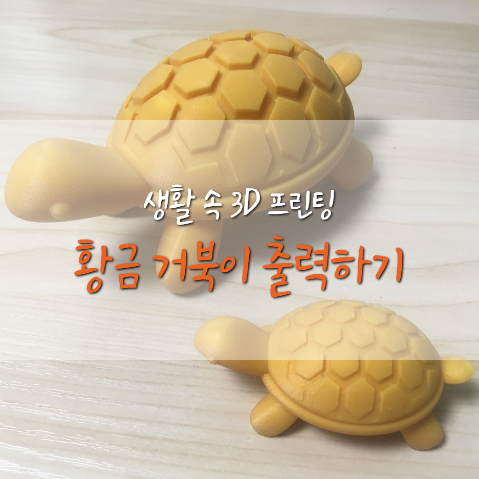  [생활속 3D 프린팅] 행운의 황금 거북이 출력하기! (Golden Turtle)