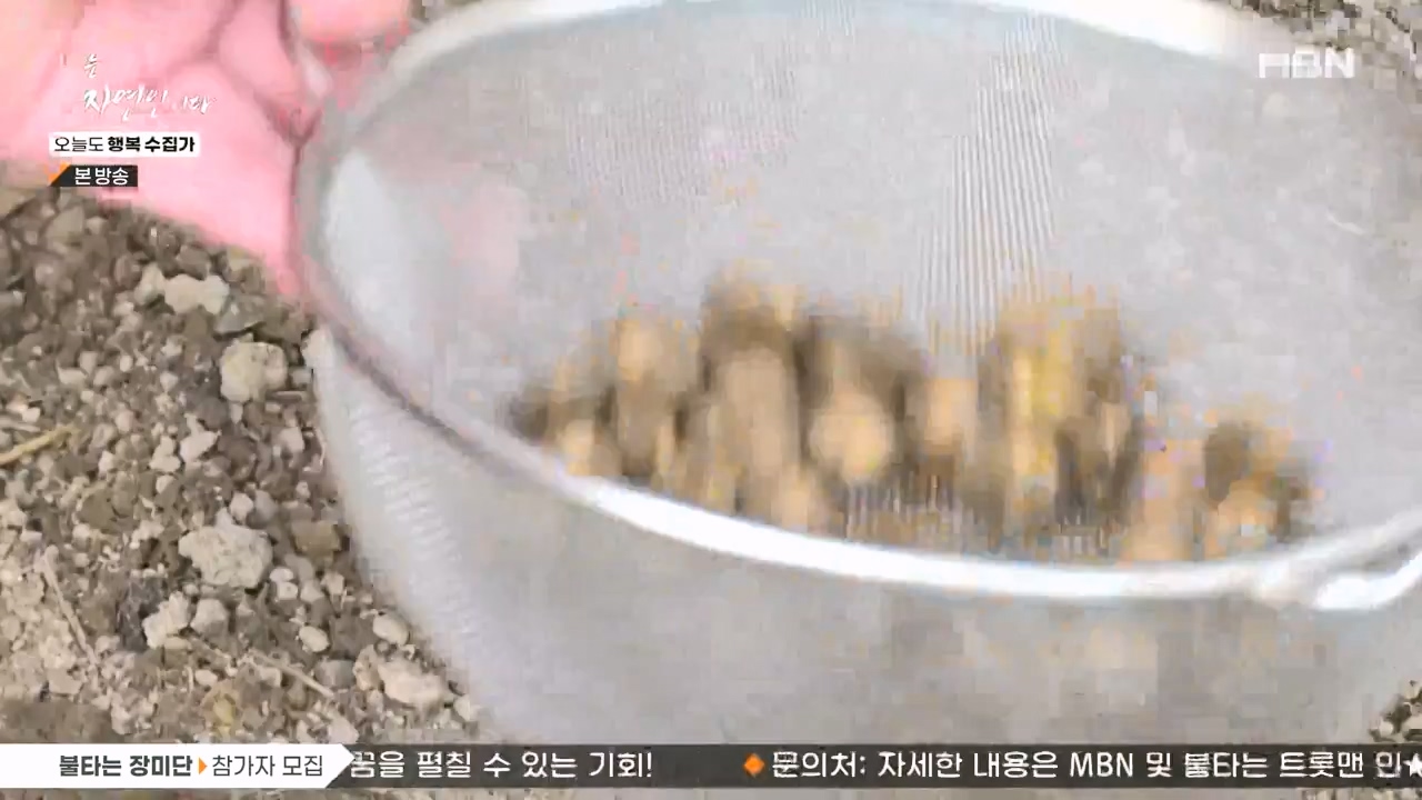 나는 자연인이다.E578.231102p-NEXT.mp4_20231102_202930.284.jpg