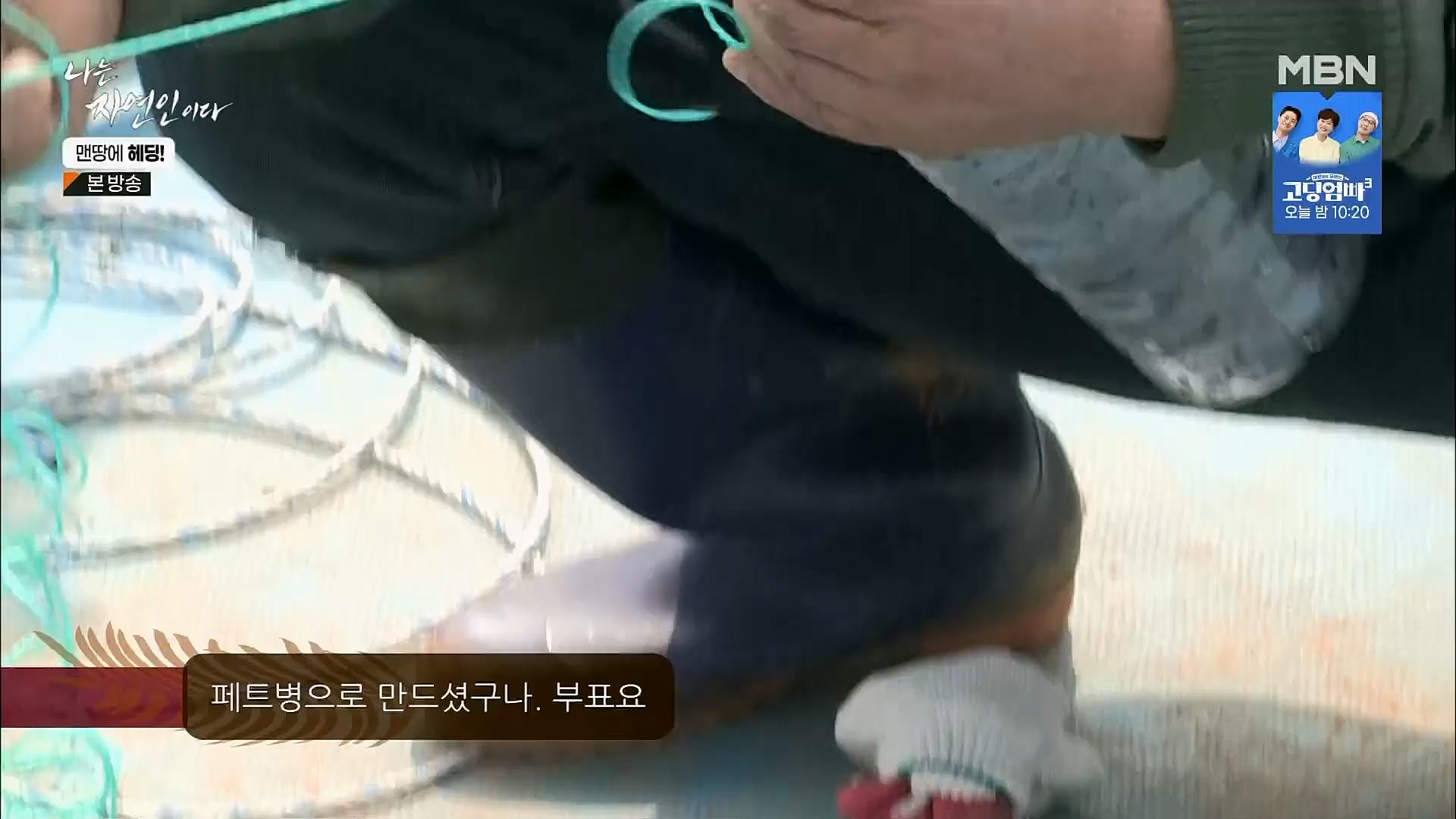 나는 자연인이다.E547.230329p.H264-F1RST.mp4_20230330_200708.025.jpg
