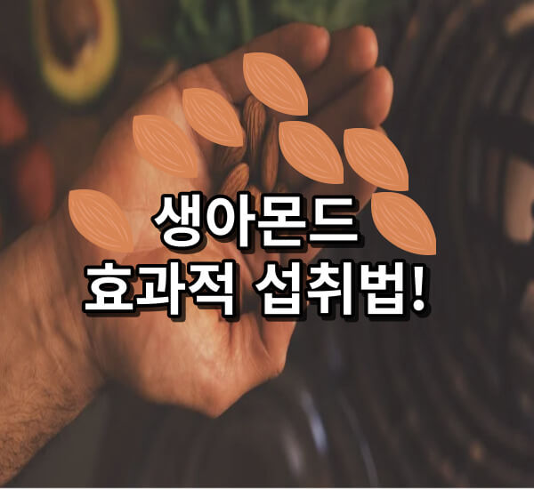 생아몬드 효과적으로 먹는법