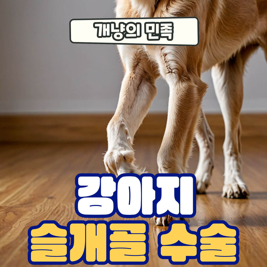 강아지 슬개골 탈구 수술비용 및 시기