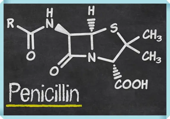 페니실린 항생제 화학식