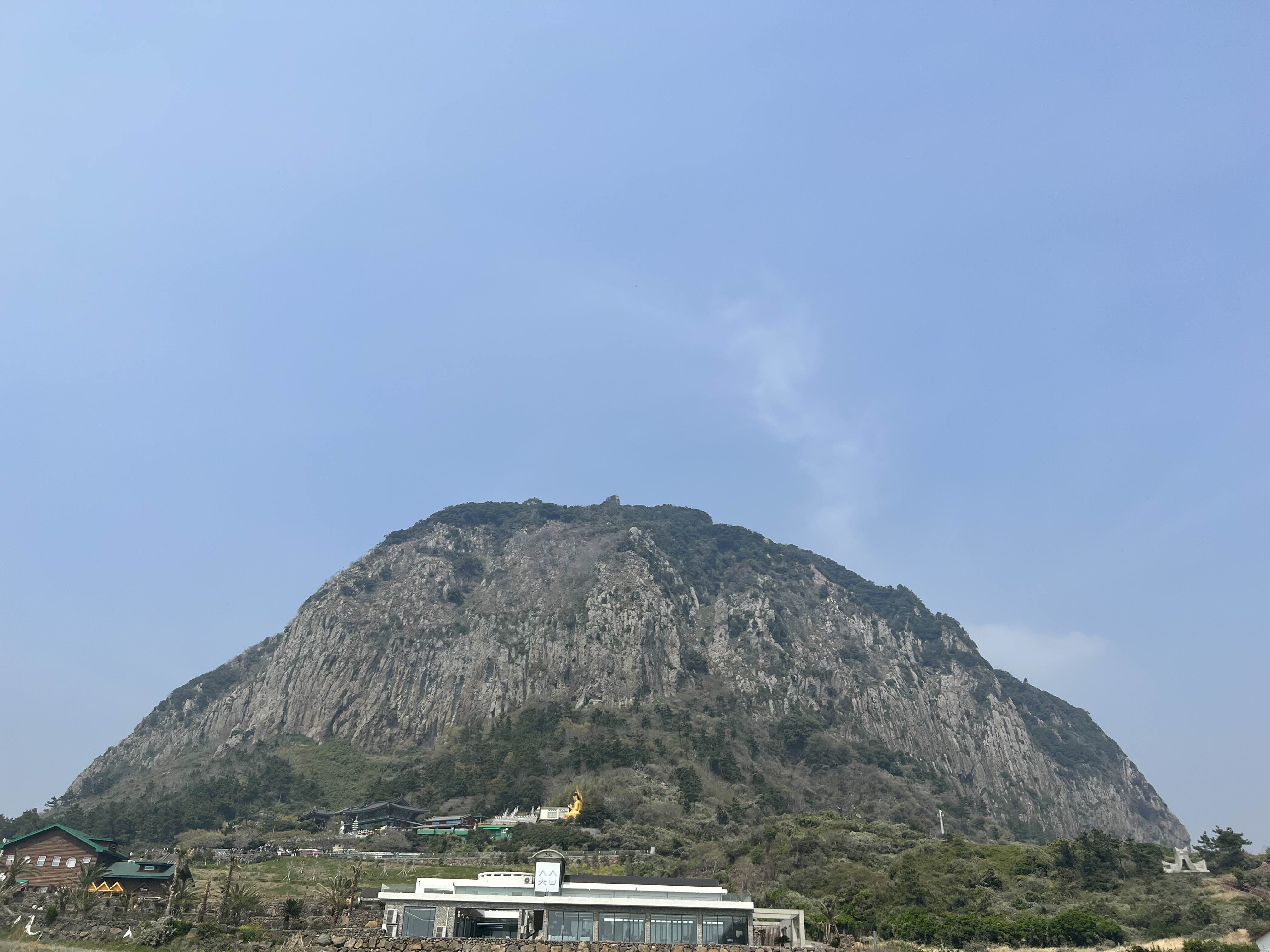  [서귀포시] 유채꽃 명소 산방산 그리고 용머리해변