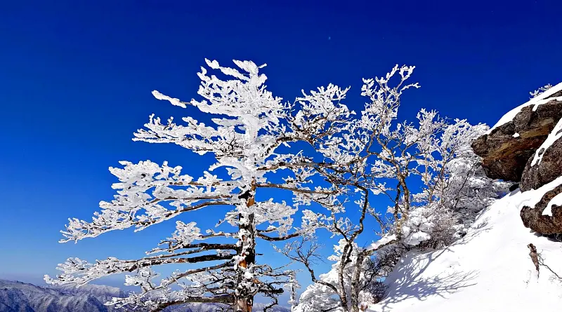 지리산 설경 상고대