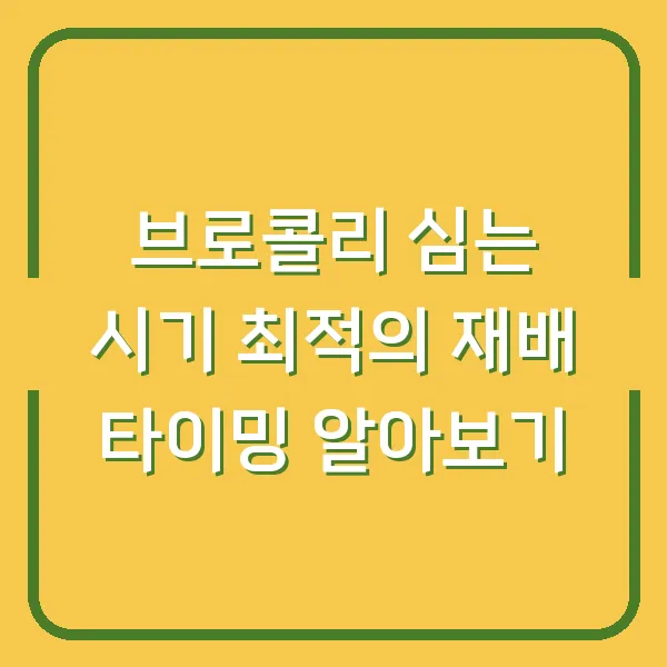브로콜리 심는 시기 최적의 재배 타이밍 알아보기