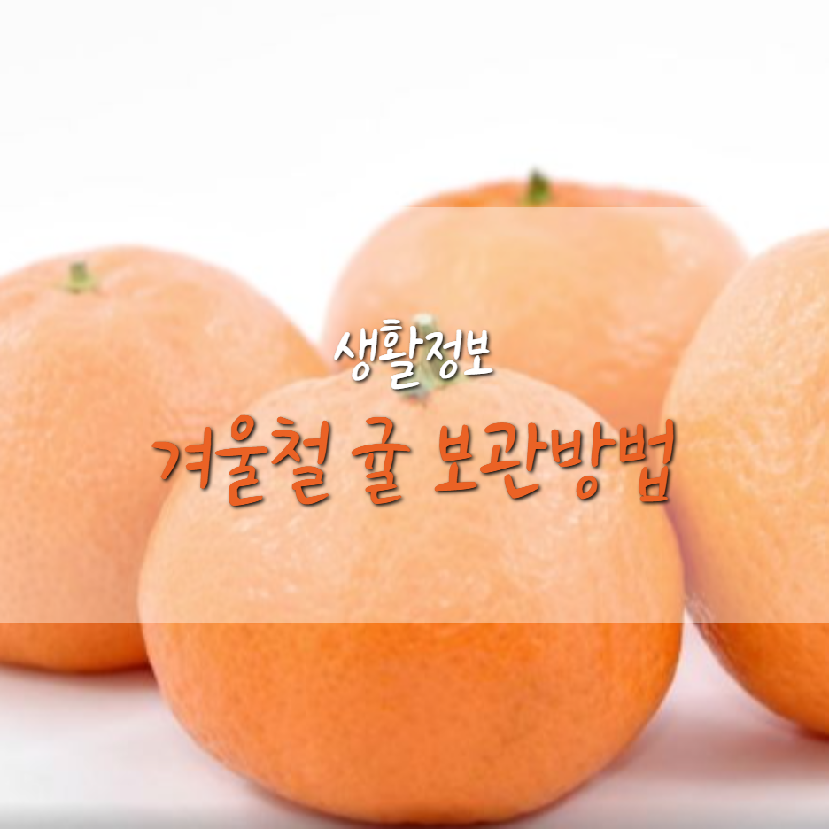  겨울철 과일 귤 보관 방법은 ?