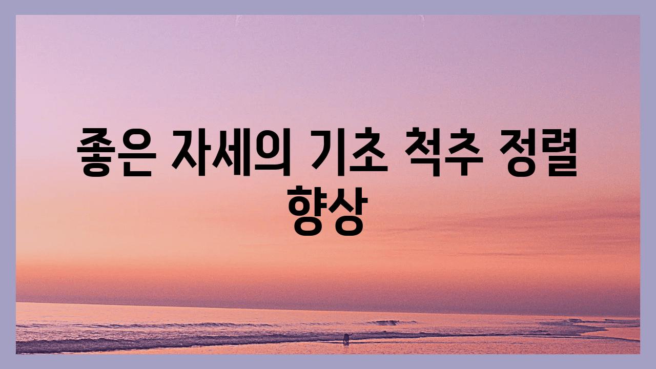 좋은 자세의 기초 척추 정렬 향상