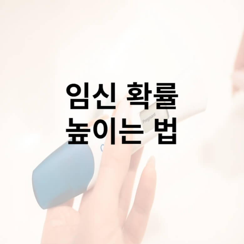 임신 확률 높이는 방법 임신 확률 높이는 방법
