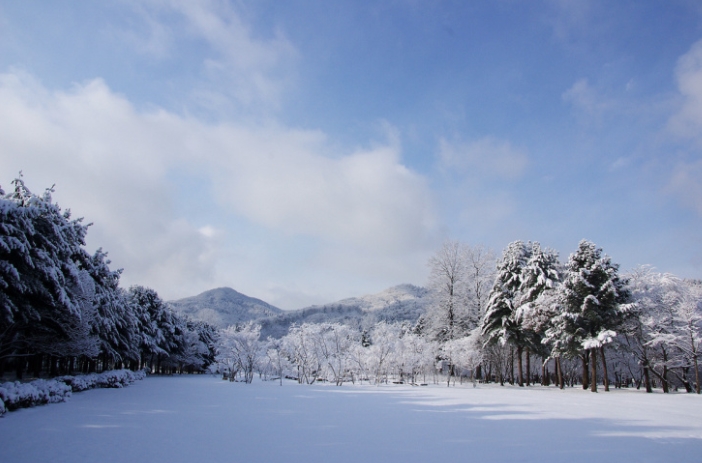 남이섬 설경