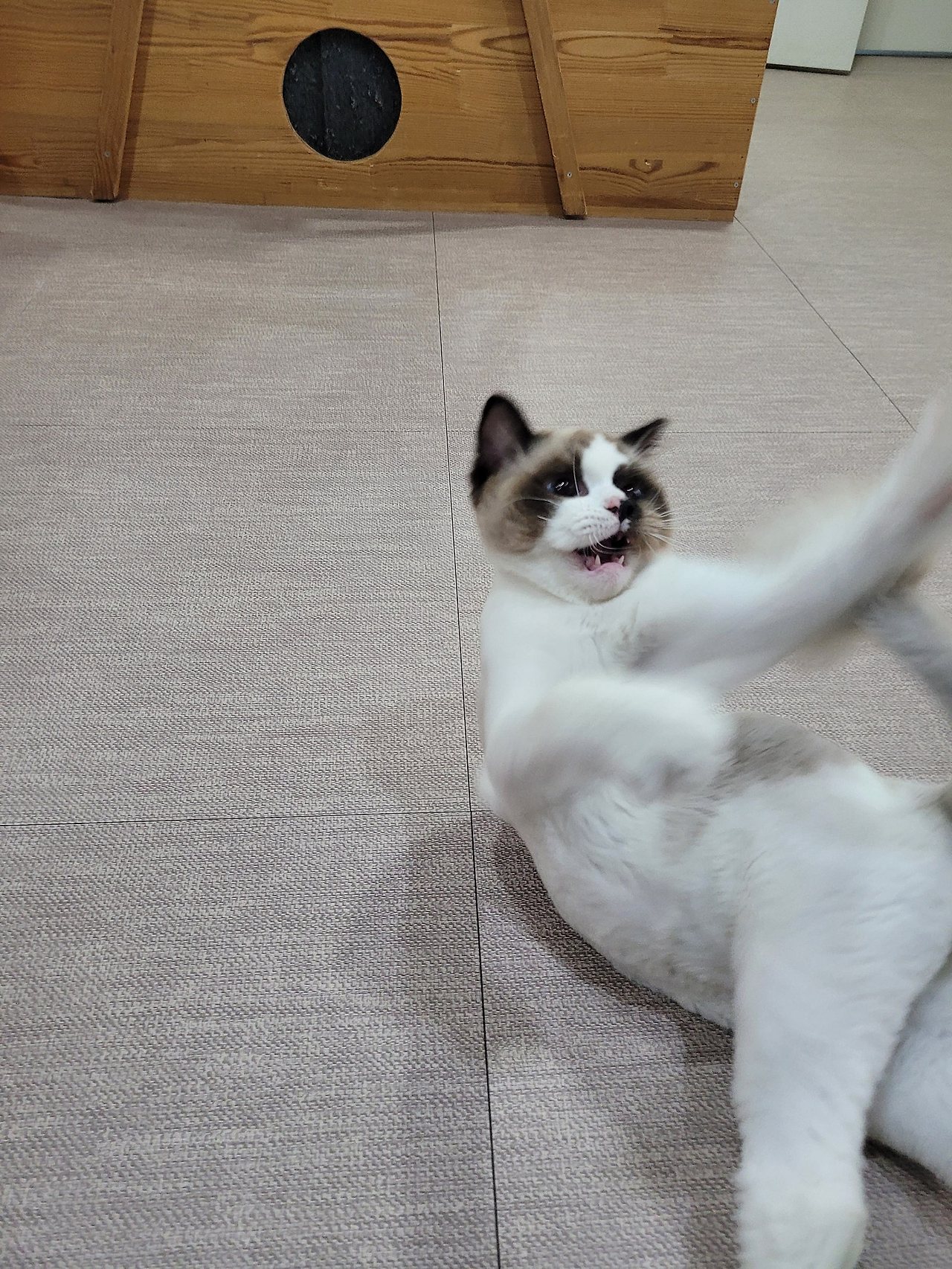호텔하루 이미지