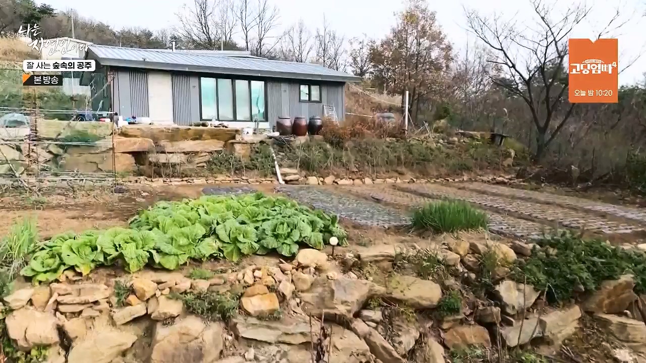 나는 자연인이다.E582.231130p-NEXT.mp4_20231130_200814.110.jpg