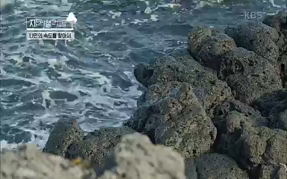 [4회] 자연의 철학자들 - KBS행복하냐고 묻는다면] 흙과 돌, 숲과의 눈맞춤 그리고 물속에서의 숨소리까지 오롯이 김창옥.ts_20220329_191201.993.jpg