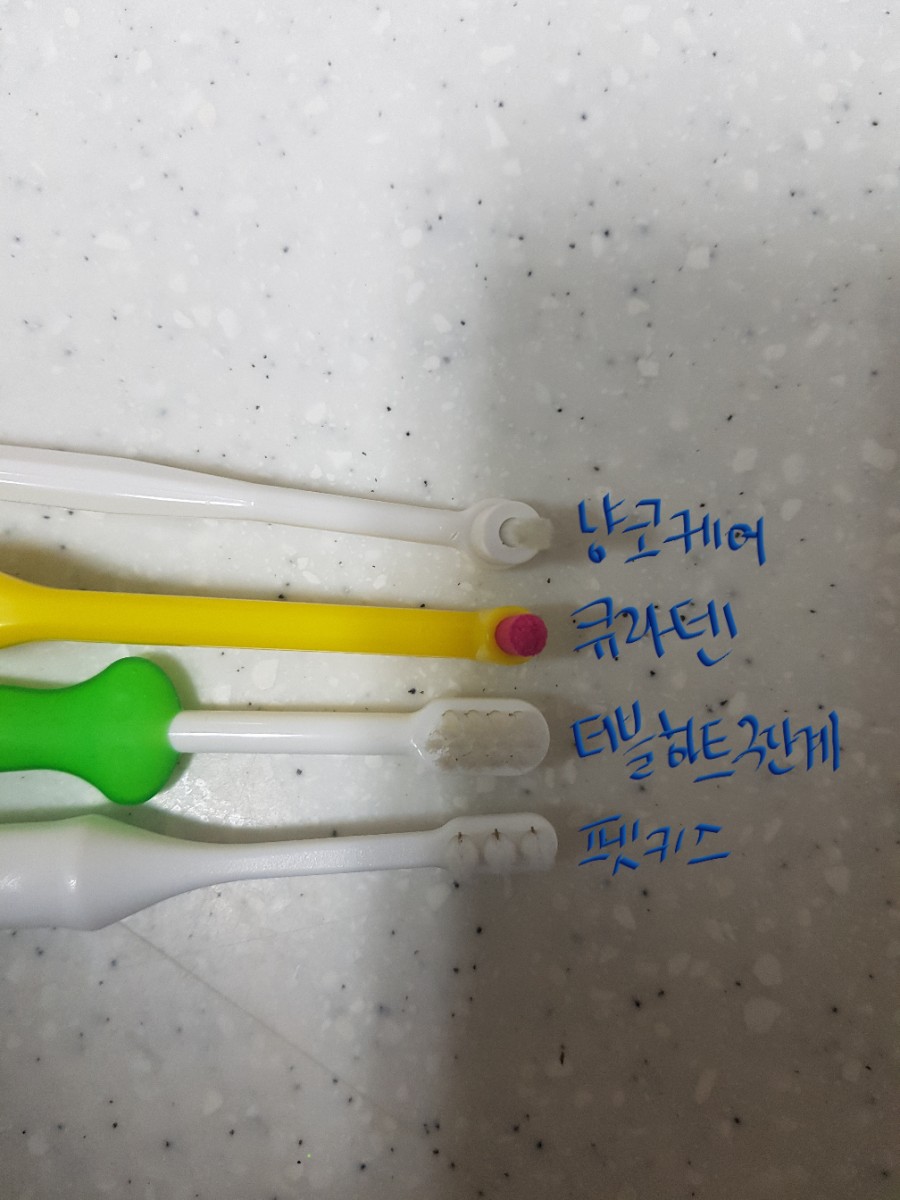  [고양이/강아지/칫솔] 고양이 칫솔 비교, 펫키스vs더블하트3단계vs냥코케어vs큐라덴1006