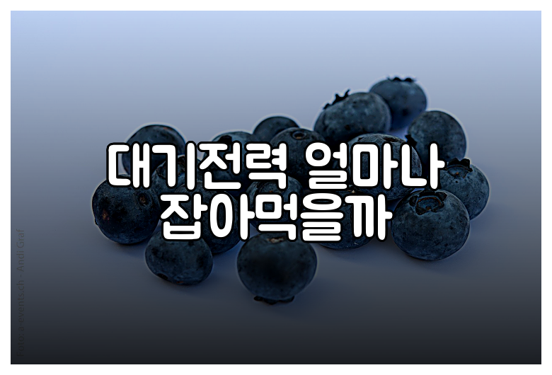 대기전력 얼마나 잡아먹을까