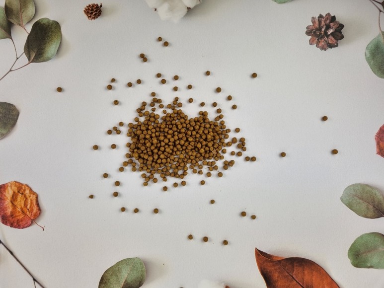 핑거루트 효능 판두라틴 건재 10