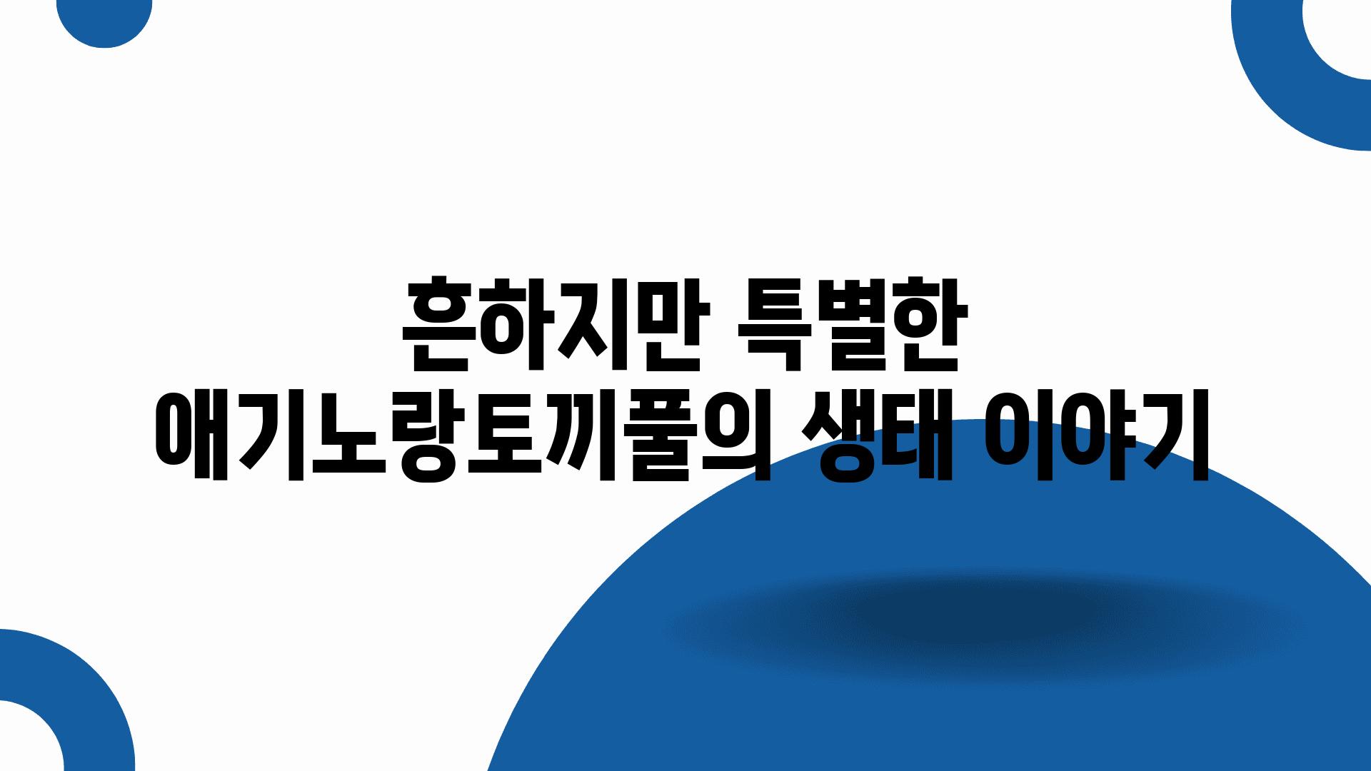 흔하지만 특별한 애기노랑토끼풀의 생태 이야기