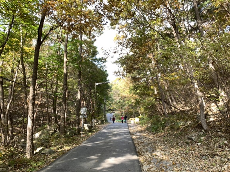 오서산 최단코스 [BAC 100대명산 / 보령 오서산 최단코스] 오서산자연휴양림 ~ 월정사 30