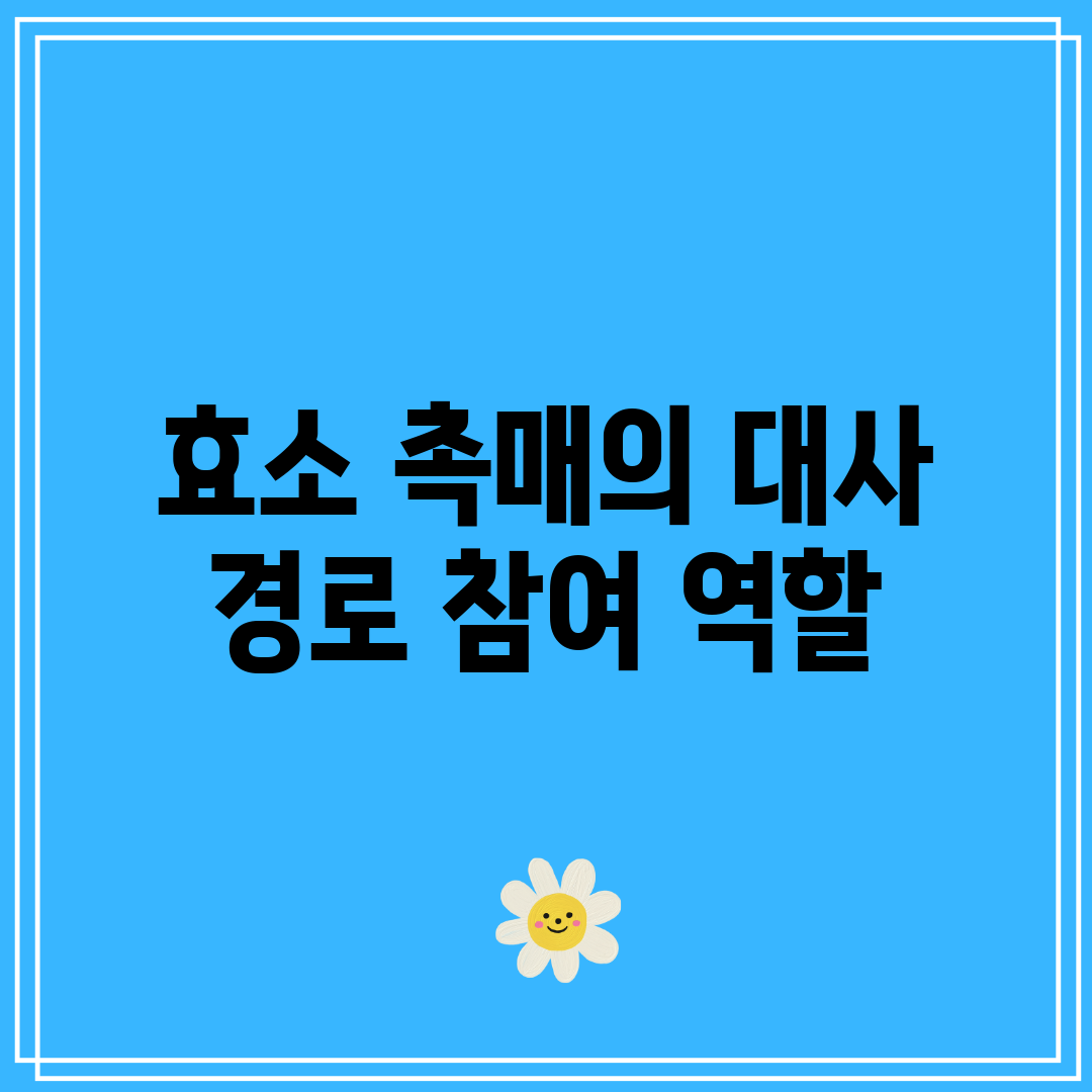 효소 촉매의 대사 경로 참여 역할