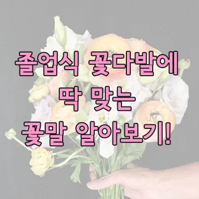 졸업식꽃말