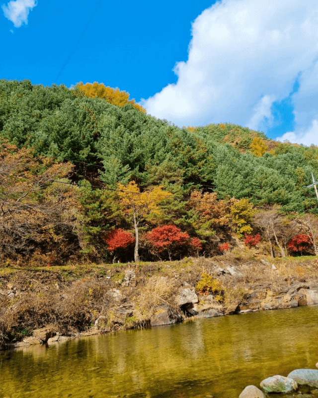 뜨란솔캠핑장-사진1