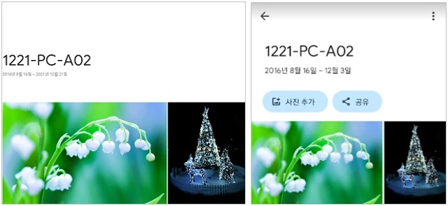 새 앨범-PC 구글포토(왼측)&#44; 휴대폰 구글포토(오른측)