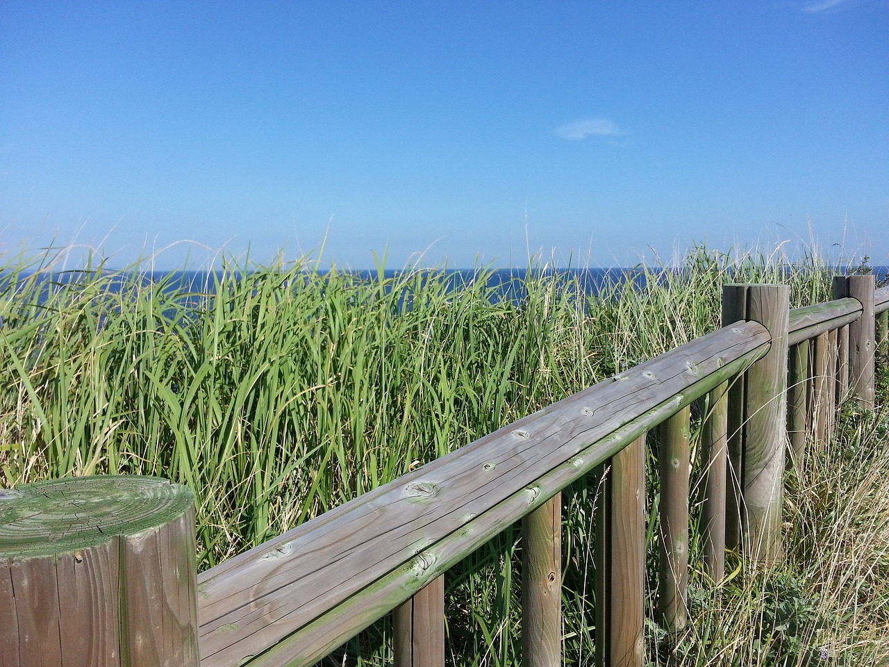 제주도 동부 올레길 &amp; 서부 올레길 비교(코스, 난이도, 분석)