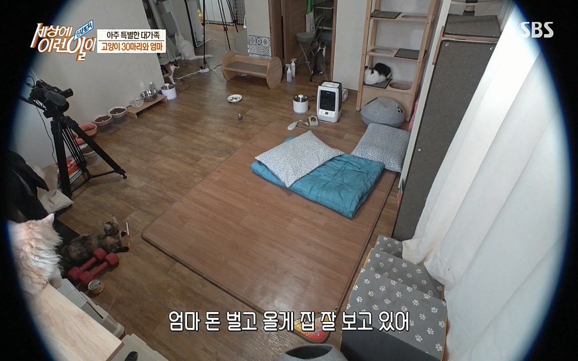 순간포착 세상에 이런일이.E1173.220330p-NEXT.mp4_20220330_174803.810.jpg