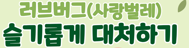 러브버그 퇴치제 