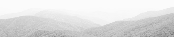 단풍 명소