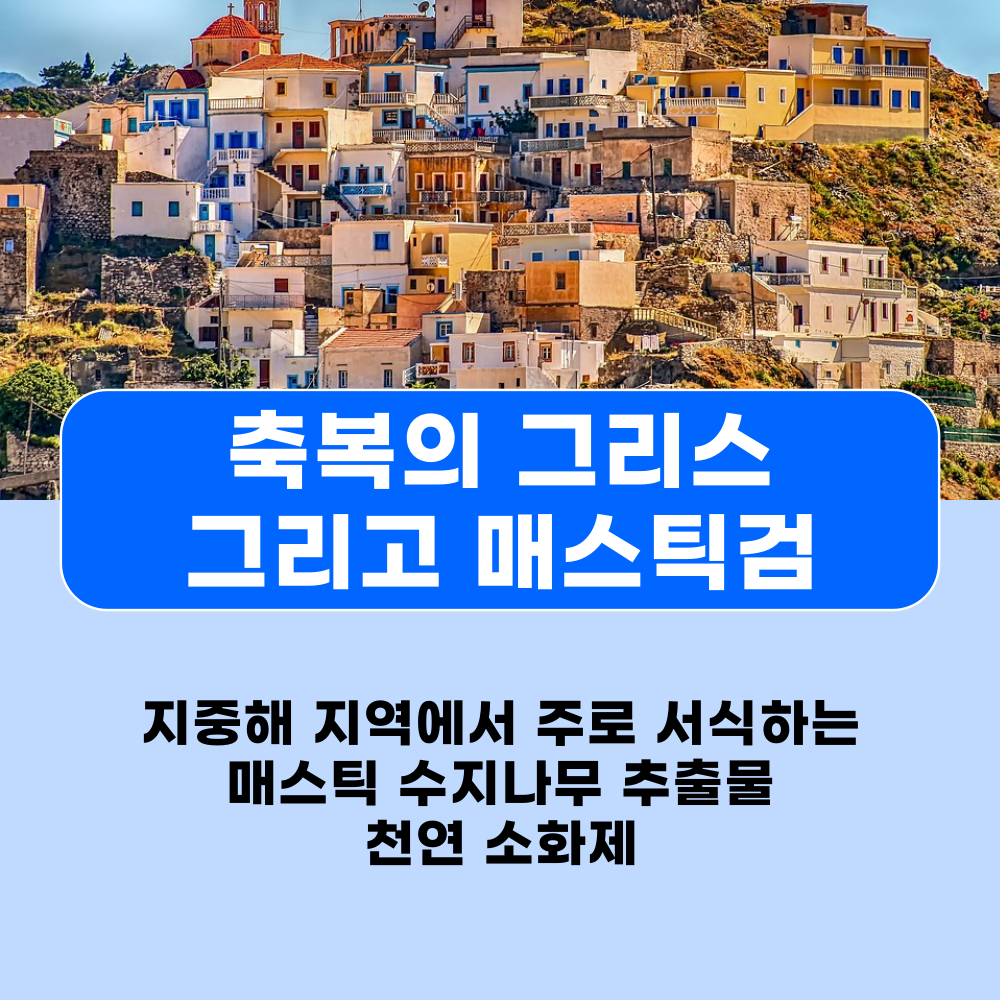  매스틱검, 효능과 부작용 및 직구 영양제 한국 판매량 탑2 직구 제품 비교 추천