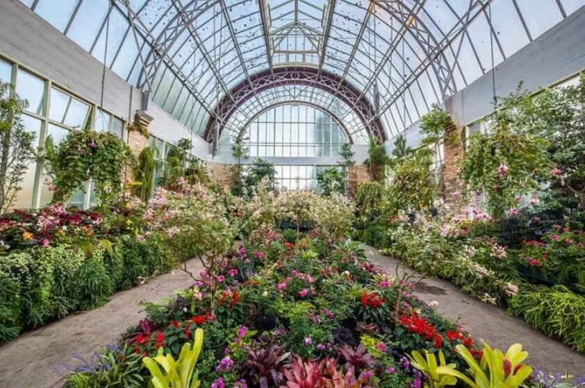 winter garden auckland