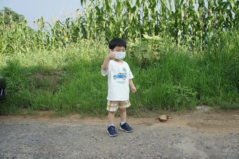옥수수와 옥수수 가루 추억 // 손자에게 보내는 편지 (제375호) 32