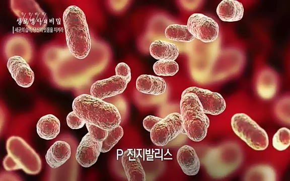 [792회] 생로병사의 비밀 - KBS[세균의 습격, 당신의 잇몸을 지켜라!] 감기보다 병원을 더 자주 찾게 만드는 질병이 있다. 바로 치주질환이다. 2020년 외래 다빈도 질병 1위를 차지한 치은염 및 치주질환 환자는 1,637_20220505_140738.123.jpg