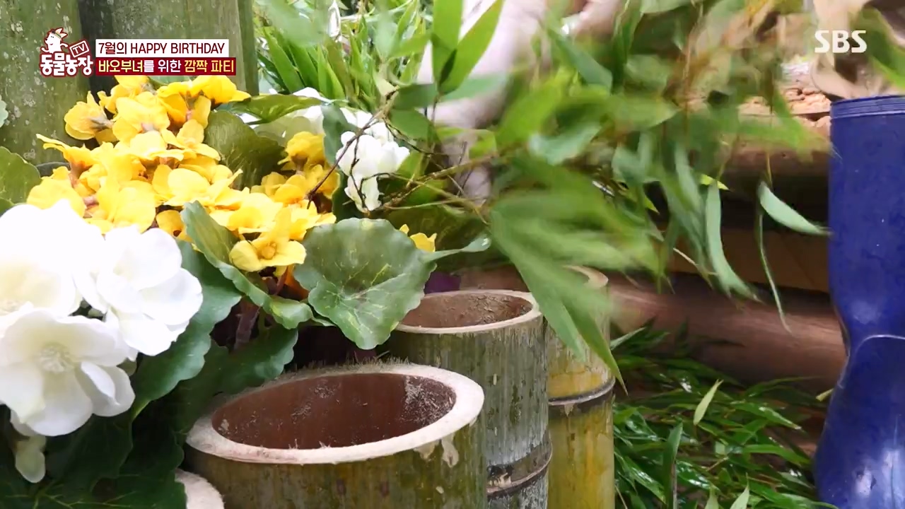 TV 동물농장.E1134.230821p-NEXT.mp4_20230820_193347.040.jpg