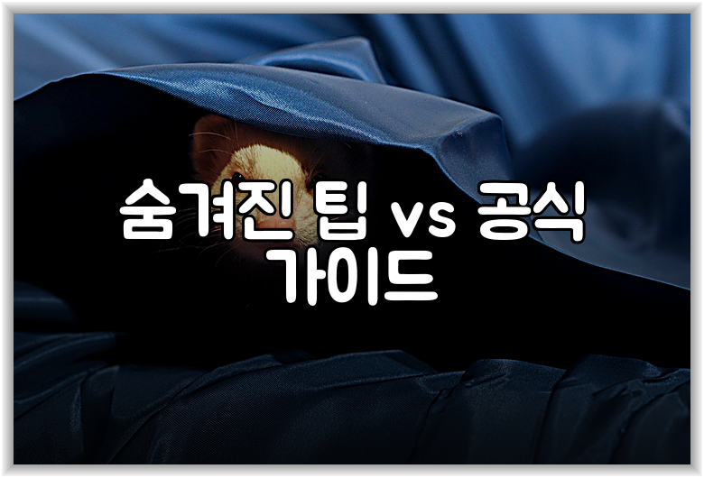 숨겨진 팁 vs 공식 가이드