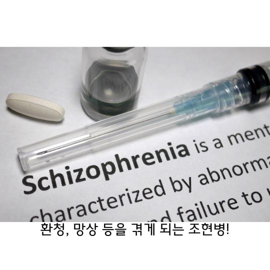  조현병 환청, 망상 등을 겪게 되는 정신질환