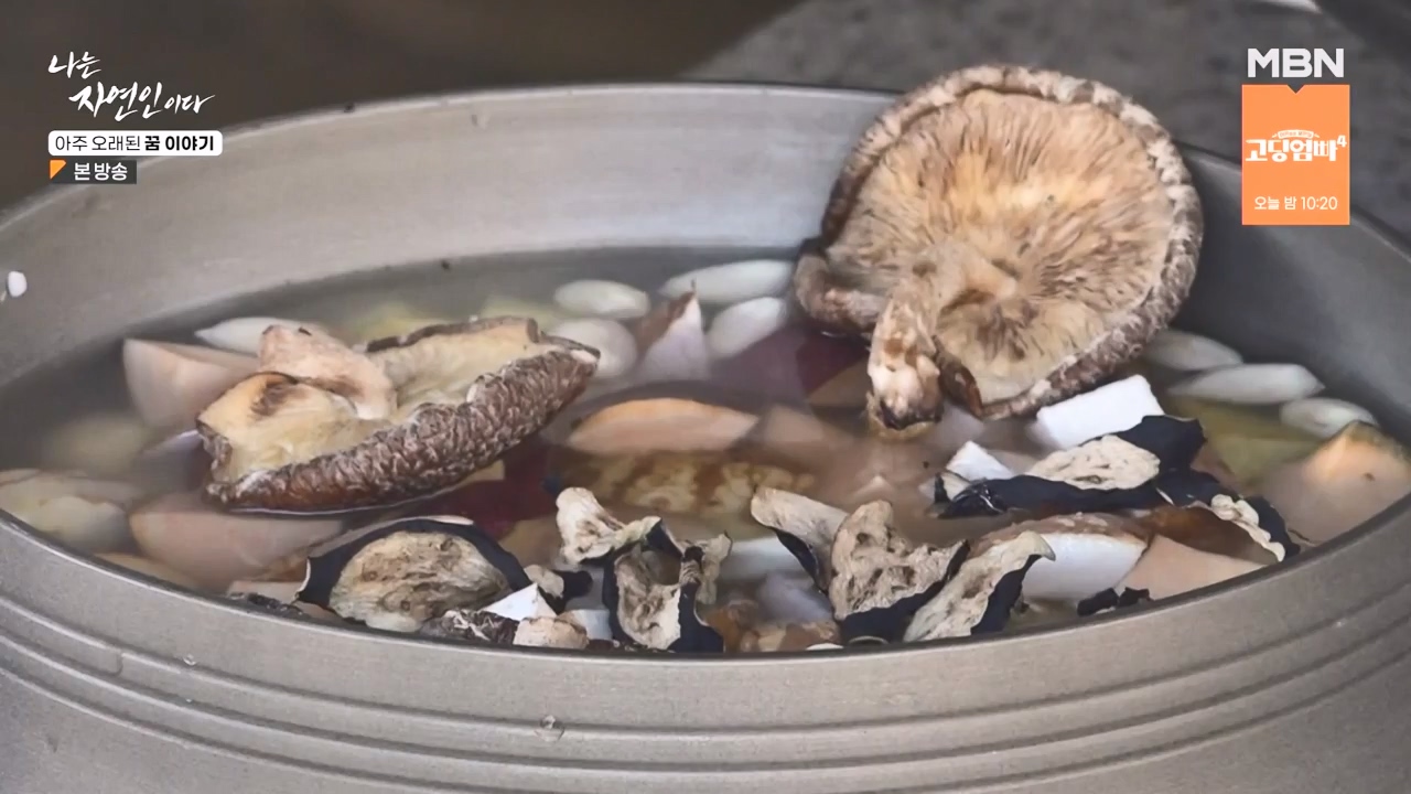 나는 자연인이다.E594.240222p-NEXT.mp4_20240222_195330.858.jpg