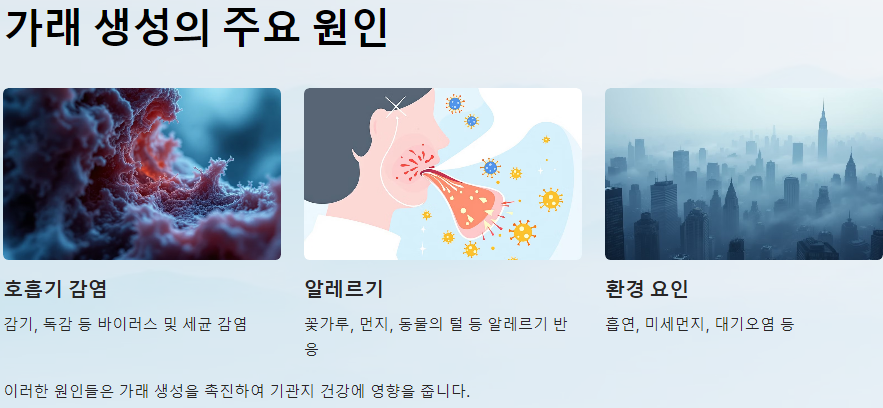 가래 생기는이유 가래빼는법 가래삭히는법
