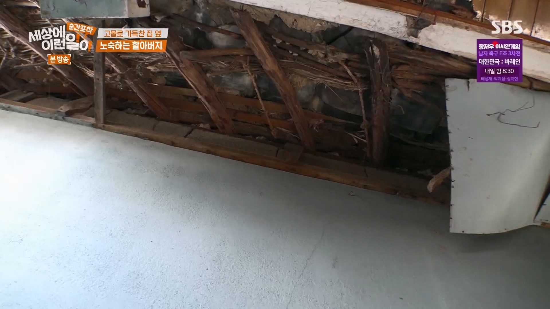 순간포착 세상에 이런일이.E1247.230923p.H264-F1RST.mp4_20230924_152654.881.jpg