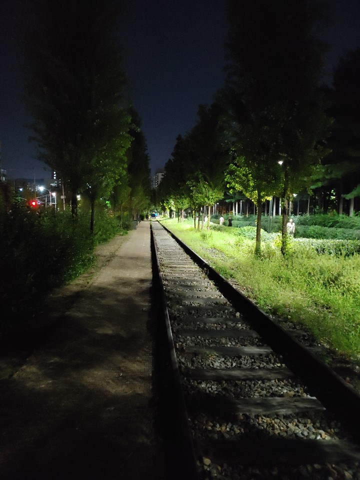  밤산책 걷기좋은 길2