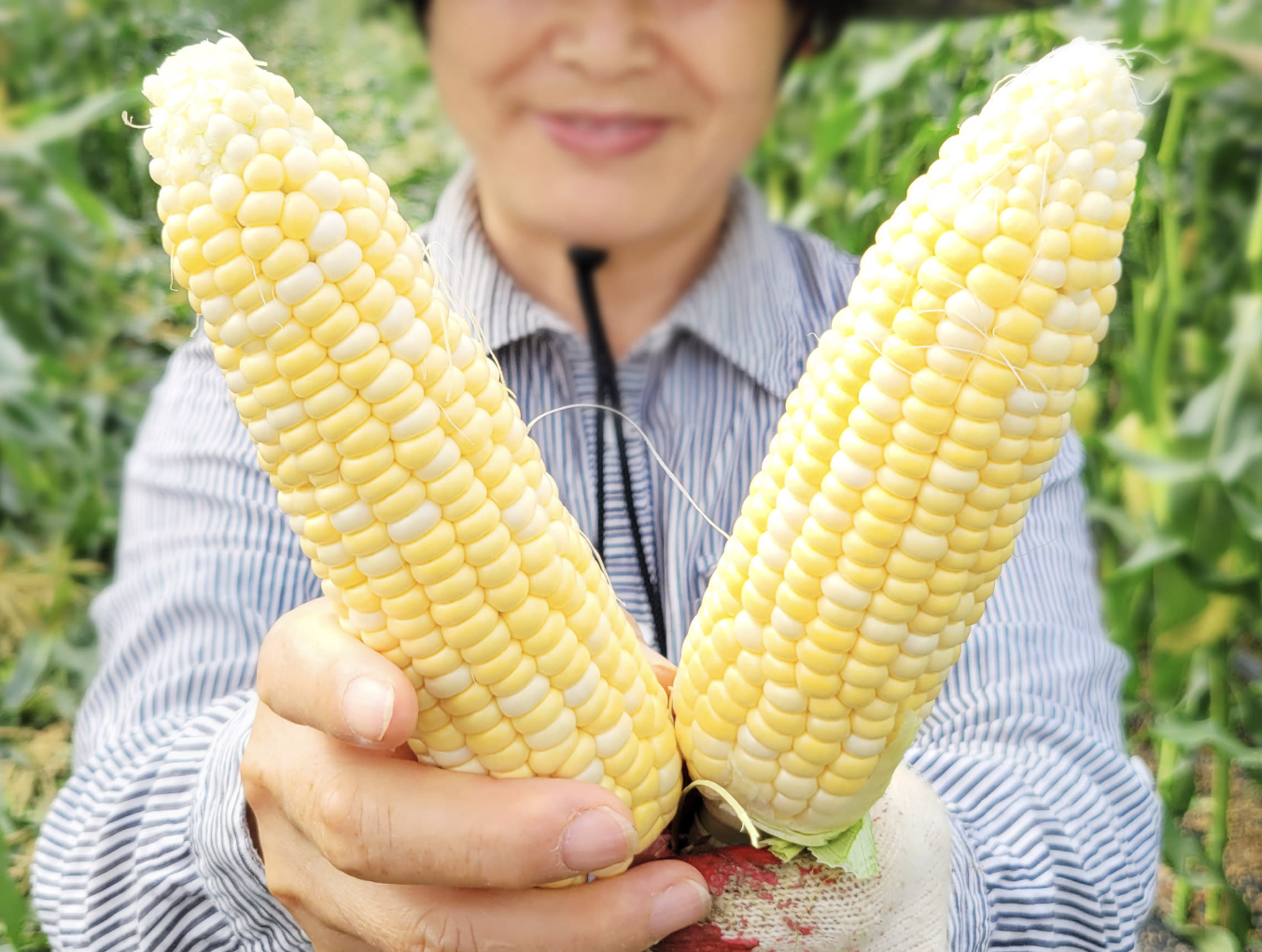 사노라면 농부 박사 딸